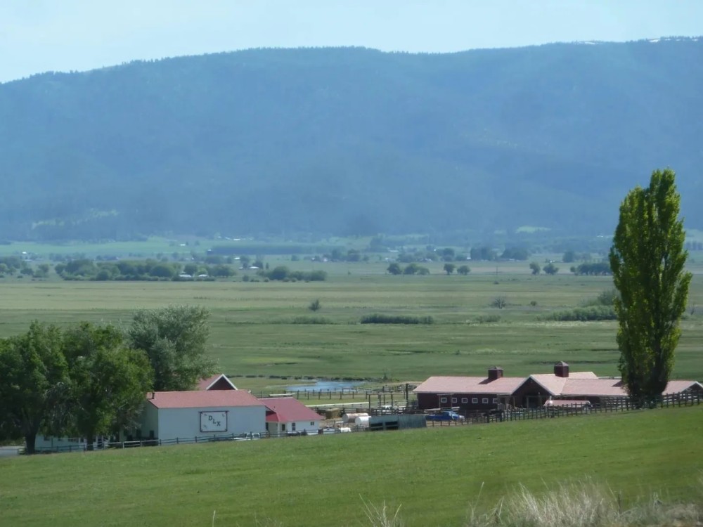 Northeast Oregon s Premier Estate The DLX Ranch featured image