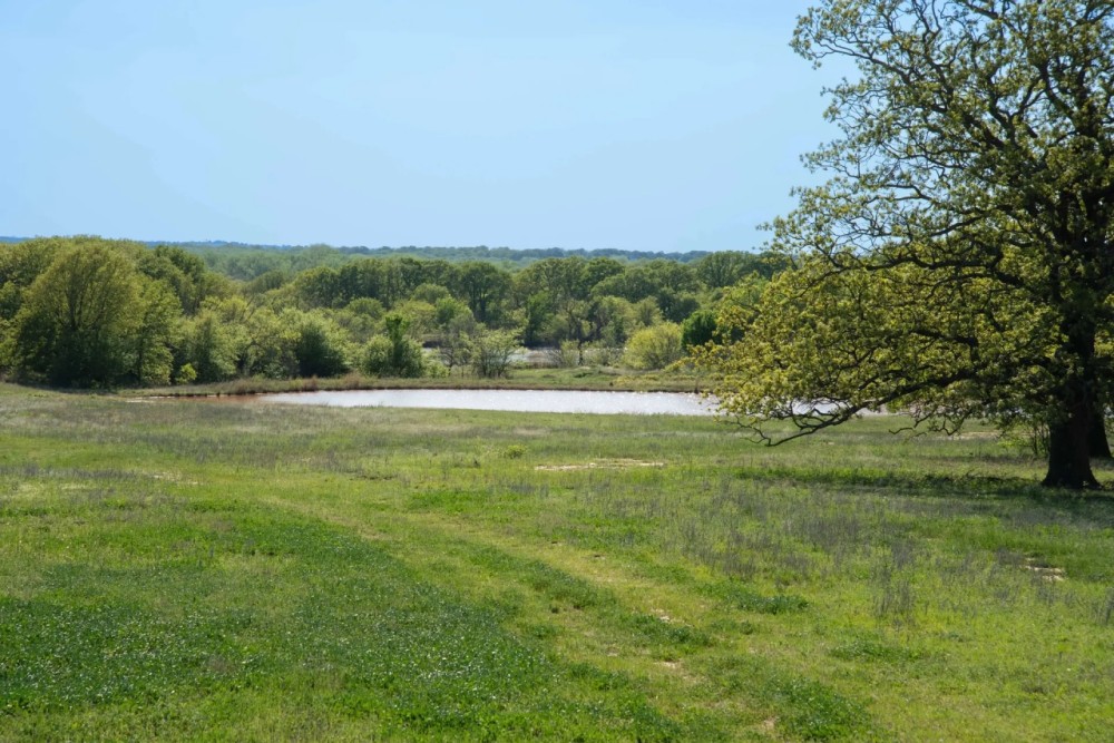Lake Nocona Ranch featured image