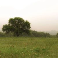 Lake Nocona Ranch images 3