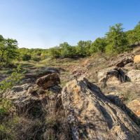 Lake Nocona Ranch images 4