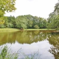 Sulligent - 190 Acre Tract images 5