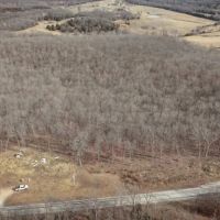 Prime Hunting Mature Timber And Homestead Potential images 4