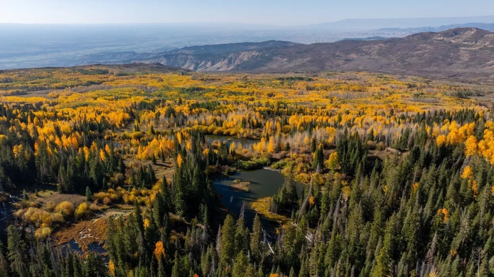 Buckhorn Lakes Mountain Hunting Ranch 330 Acres featured image