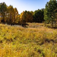 Buckhorn Lakes Mountain Hunting Ranch 330 Acres images 5