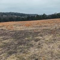 A Great Farm In The Ozark Mountains images 3