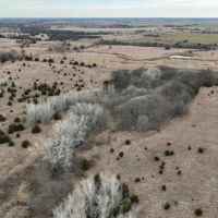 239 Acres Hunting Timber Grass Pasture more images 3