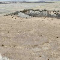 239 Acres Hunting Timber Grass Pasture more images 4