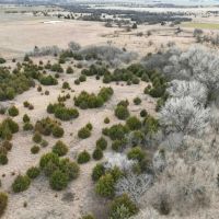 239 Acres Hunting Timber Grass Pasture more images 5