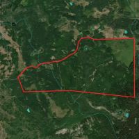 Buckhorn Lakes Investor Package Grazing Land 35s images 4