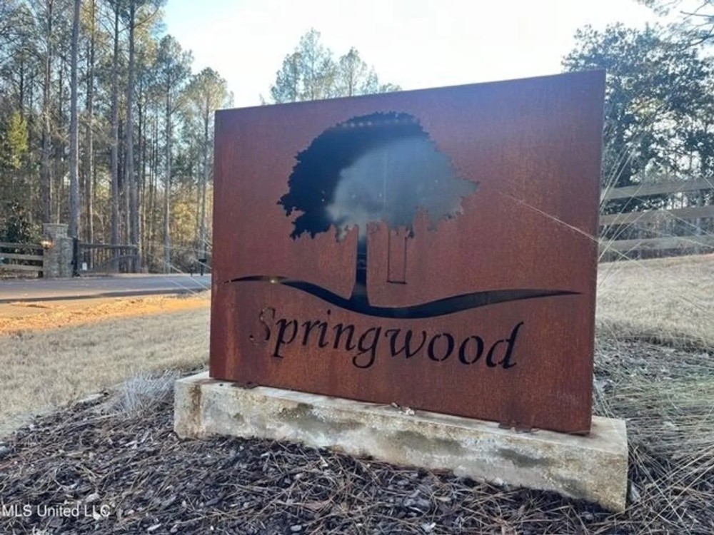Lot 11 Springwood Trail Madison County MS featured image