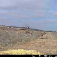 Dewey County River Ranch images 2