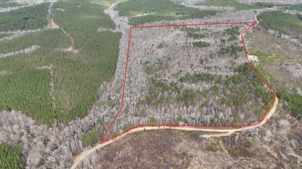 82 - Acres in Marion Co. AL featured image
