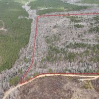 82 - Acres in Marion Co. AL