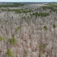 82 - Acres in Marion Co. AL images 4
