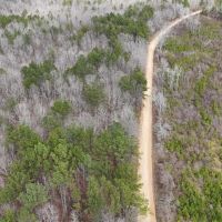 82 - Acres in Marion Co. AL images 5
