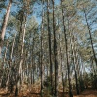 365.4 - Acres of Prime Baker County Farmland Agricultural Timber and Recreational Opportunities Title images 4
