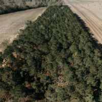 365.4 - Acres of Prime Baker County Farmland Agricultural Timber and Recreational Opportunities Title images 2