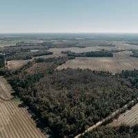 365.4 - Acres of Prime Baker County Farmland Agricultural Timber and Recreational Opportunities Title images 3
