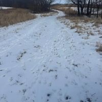 160 acres m l - Jefferson County images 4