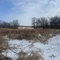 160 acres m l - Jefferson County images 5