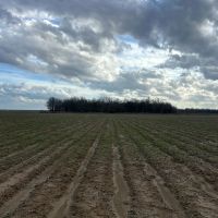 38 Acres With a Home in Humphreys County MS images 3