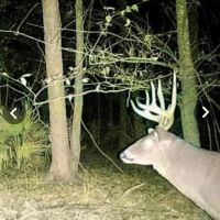 38 Acres With a Home in Humphreys County MS images 4
