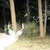38 Acres With a Home in Humphreys County MS images 5