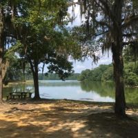 Dale County Public Lake 92 Acres of Duck Hunting in Dale, AL images 2