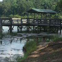 Dale County Public Lake 92 Acres of Duck Hunting in Dale, AL images 3