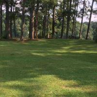 Dale County Public Lake 92 Acres of Duck Hunting in Dale, AL images 5