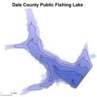 Dale County Public Lake 92 Acres of Duck Hunting in Dale, AL