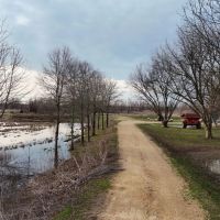 36 Acres in Sunflower County MS images 2