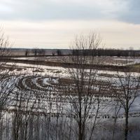 36 Acres in Sunflower County MS images 4
