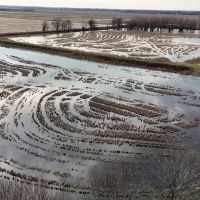 36 Acres in Sunflower County MS images 5