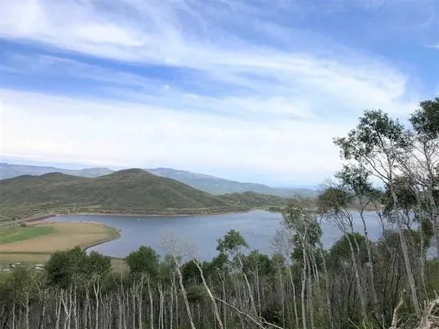 TBD Overlook Drive featured image