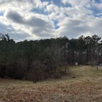 10 Acres with a Camp in Lafayette County MS images 2