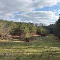 10 Acres with a Camp in Lafayette County MS images 4
