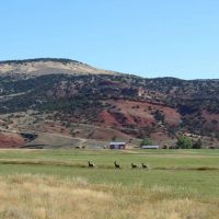 Split Lightning Ranch images 2