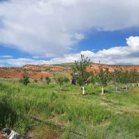 Split Lightning Ranch images 3