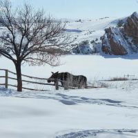 Split Lightning Ranch images 5