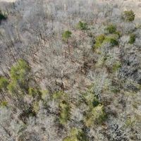 10.20 acres of Recreational and Residential Land For Sale in Caswell County NC images 5