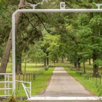 69-Acre Ranch for Sale near Overton TX images 2