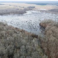365 Buck Glade images 4