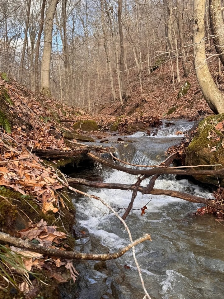 38.5 - Acres in Greenup County featured image
