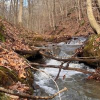 38.5 - Acres in Greenup County