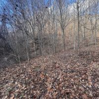 38.5 - Acres in Greenup County images 4