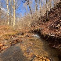 38.5 - Acres in Greenup County images 5
