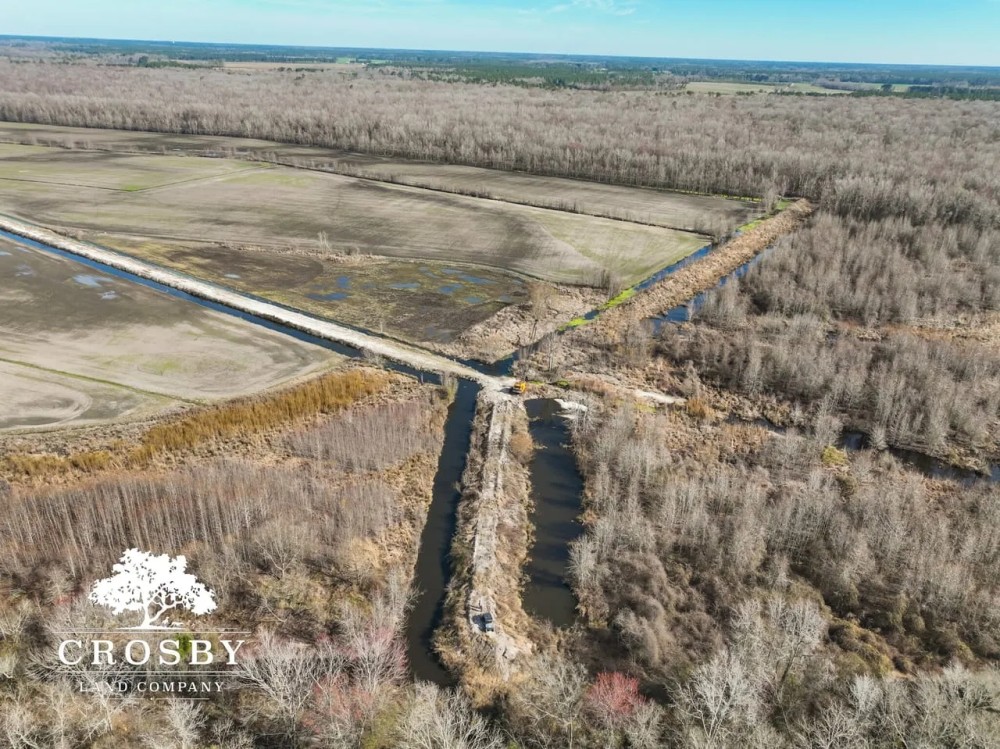 Black River Preserve featured image