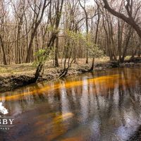 Black River Preserve images 2