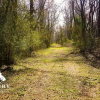 Black River Preserve images 4